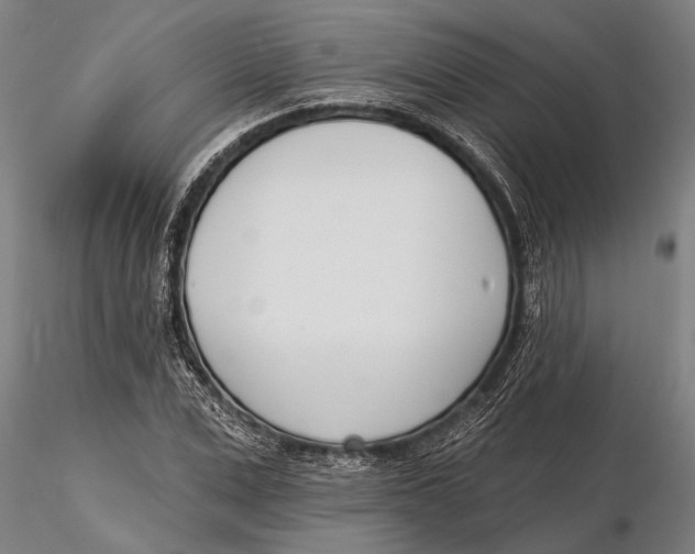 X0000116150975200912141153