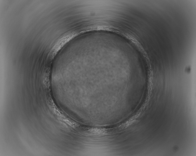 X0000116150977200912141153