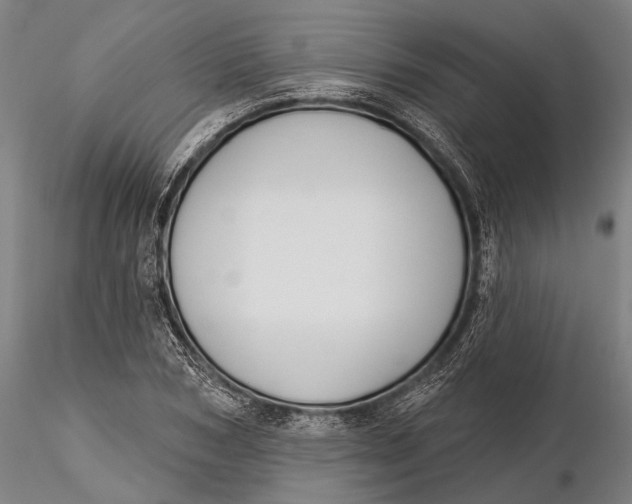 X0000116150978200912141153