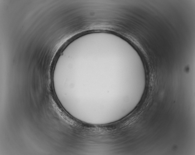 X0000116150980200912141153