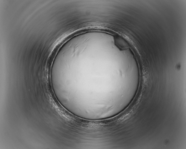 X0000116150981200912141153