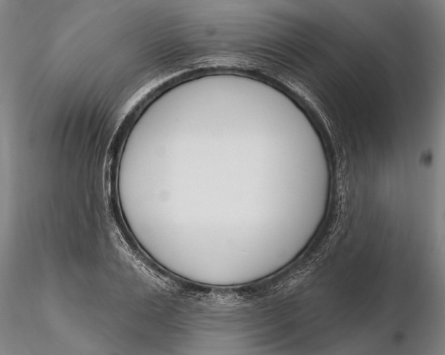 X0000116150983200912141153