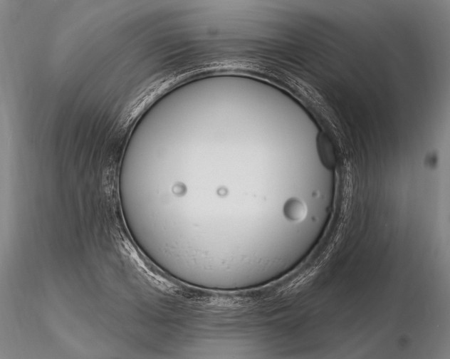 X0000116150985200912141153