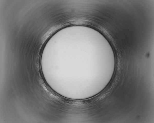 X0000116150986200912141153