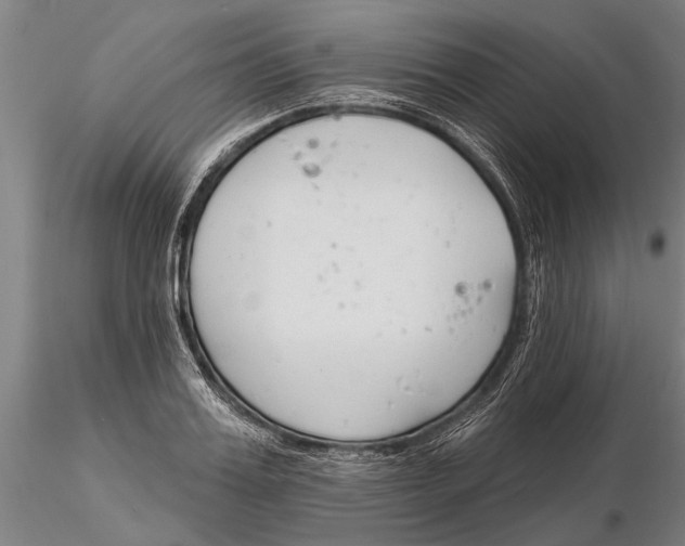 X0000116150987200912141153