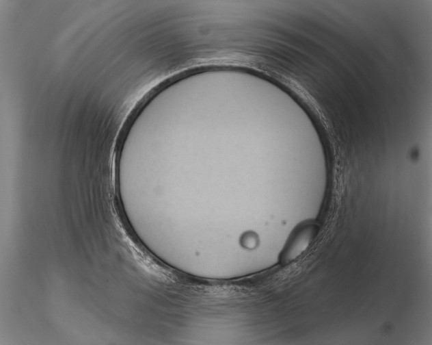 X0000116150988200912141153