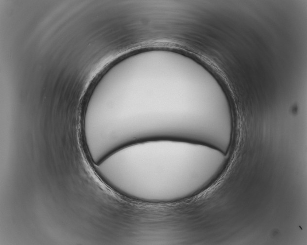 X0000116150989200912141153