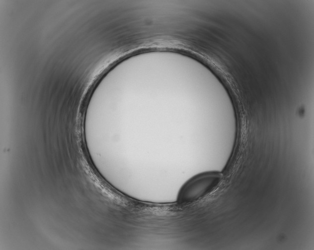 X0000116150990200912141153