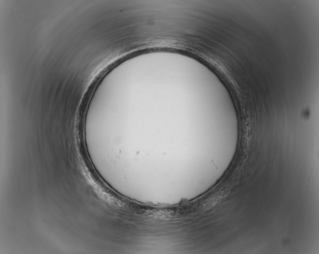 X0000116150991200912141153