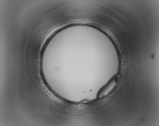 X0000116150992200912141153