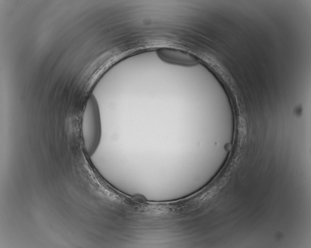 X0000116150993200912141153