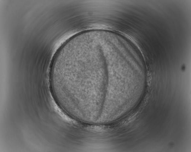 X0000116150995200912141153