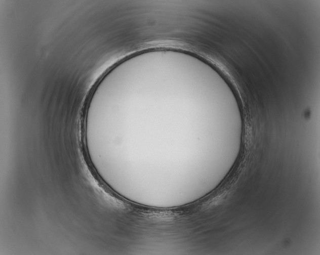 X0000116150999200912141152