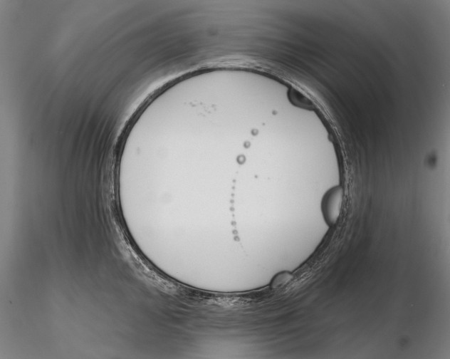 X0000116151000200912141152