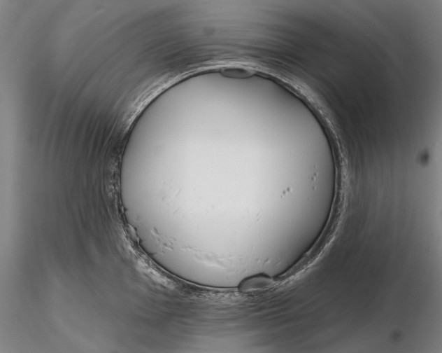 X0000116151001200912141152