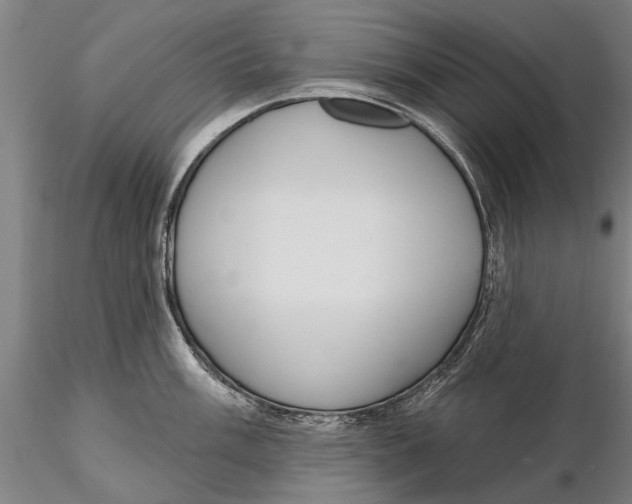 X0000116151003200912141152