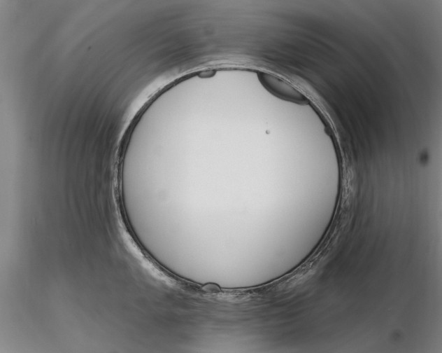 X0000116151005200912141152