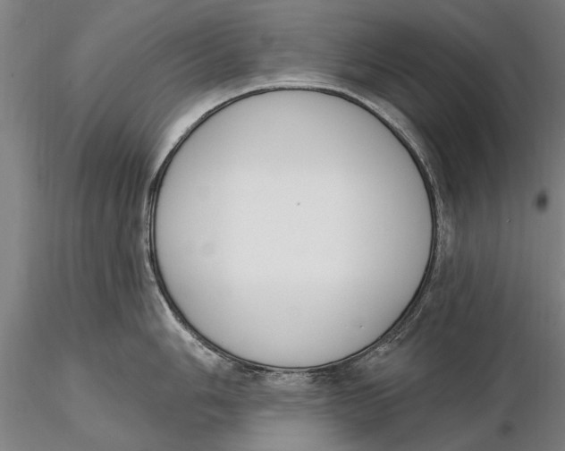 X0000116151006200912141152