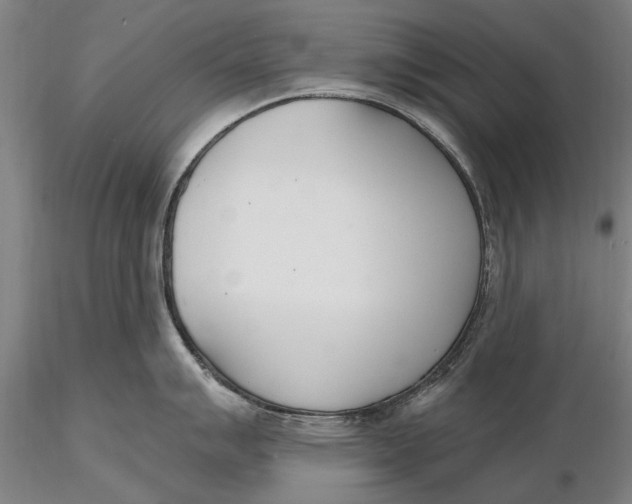 X0000116151007200912141152