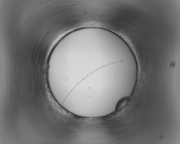 X0000116151008200912141152