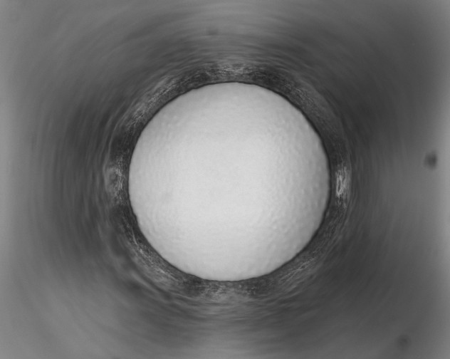 X0000116151011200912141152