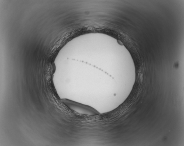 X0000116151012200912141152