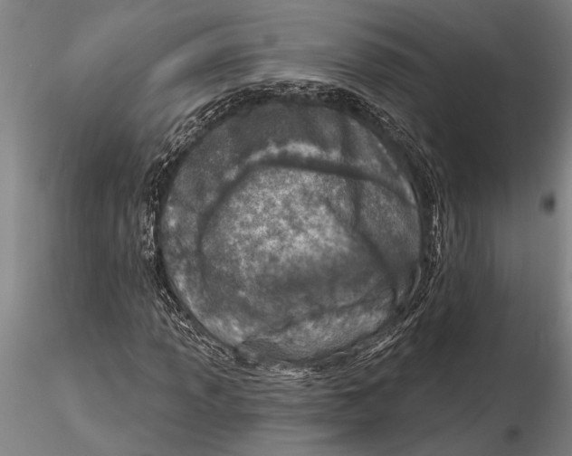 X0000116151013200912141152