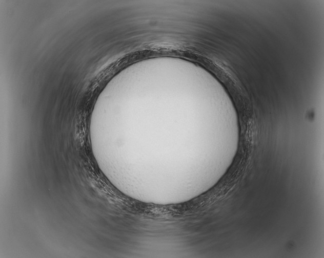 X0000116151015200912141152