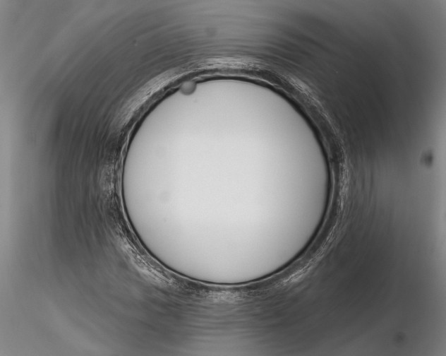 X0000116151017200912141152