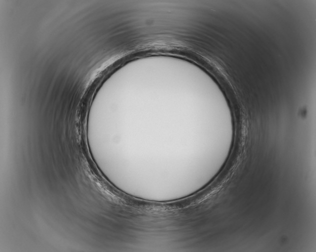 X0000116151018200912141152