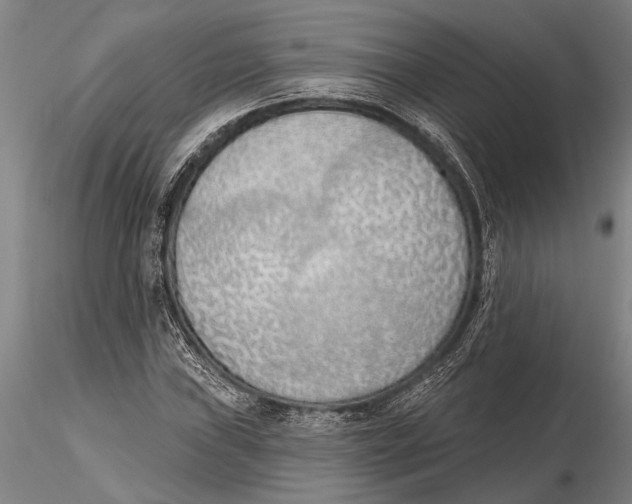 X0000116151019200912141152