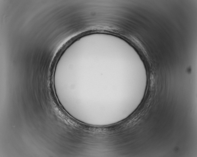 X0000116151020200912141152