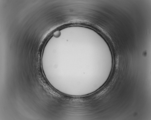 X0000116151021200912141152