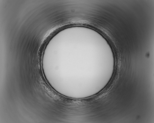 X0000116151022200912141152