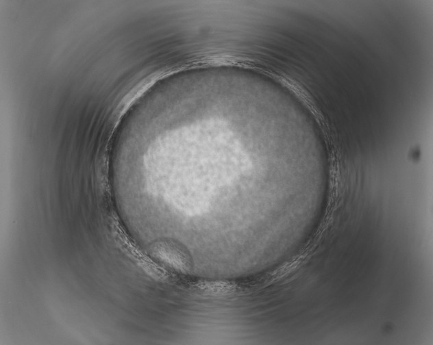 X0000116151023200912141152