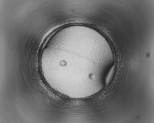 X0000116151024200912141152