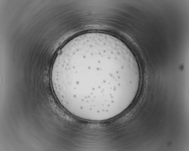 X0000116151025200912141152