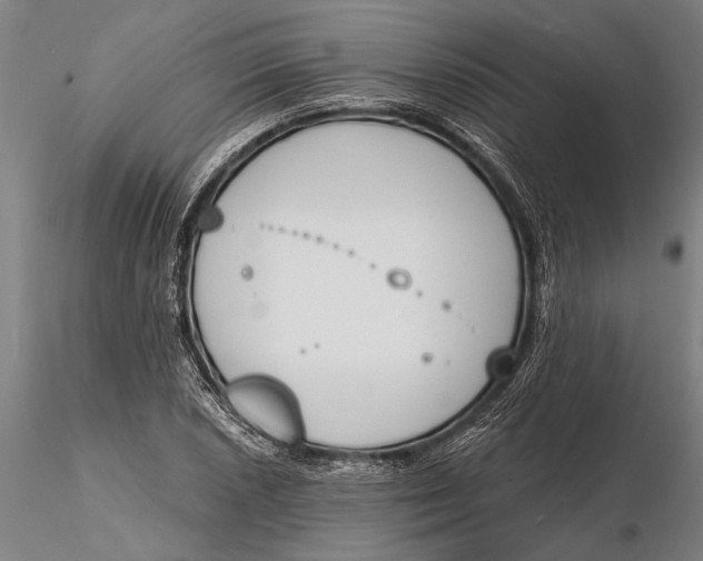 X0000116151026200912141152