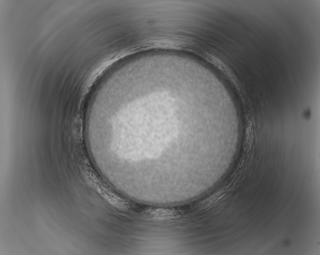 X0000116151027200912141152