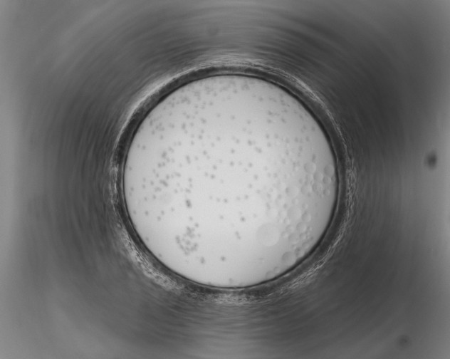 X0000116151029200912141152