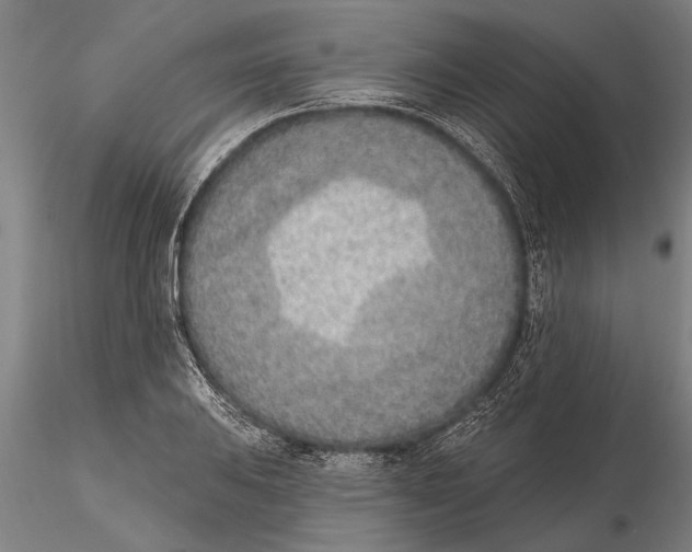 X0000116151031200912141152