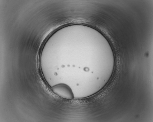 X0000116151032200912141152