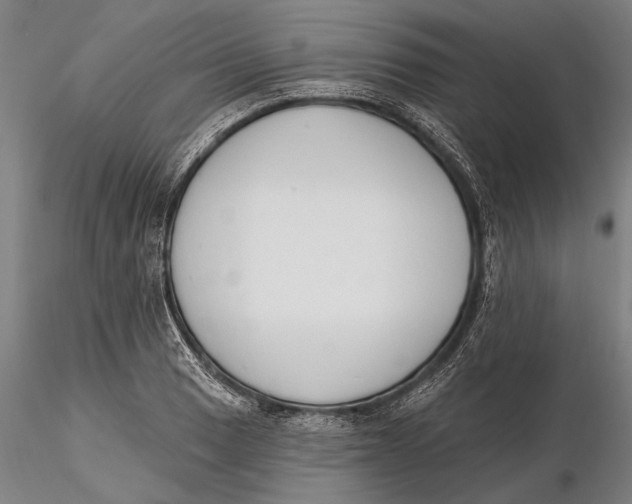 X0000116151033200912141152