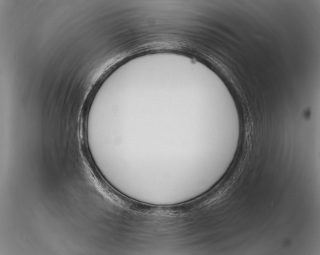 X0000116151034200912141152