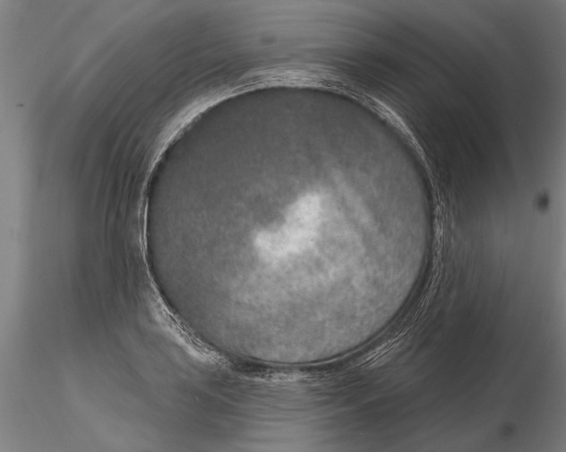 X0000116151035200912141152