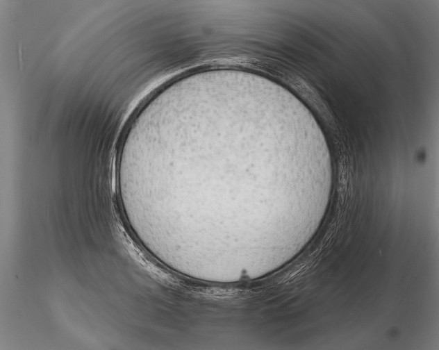 X0000116151036200912141152