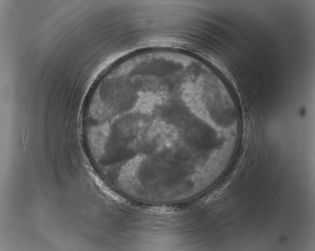 X0000116151037200912141152