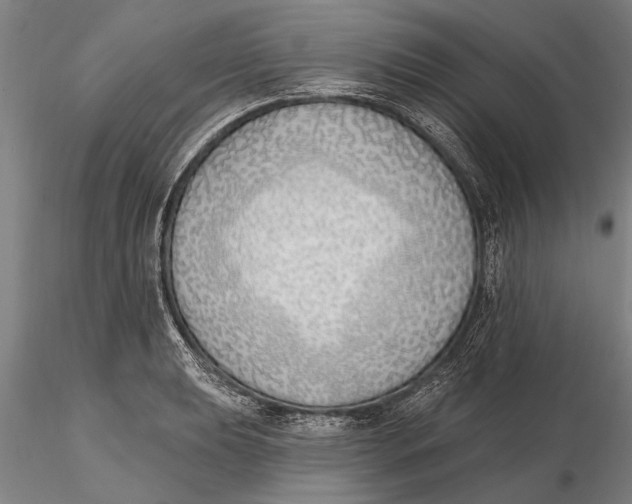 X0000116151039200912141152