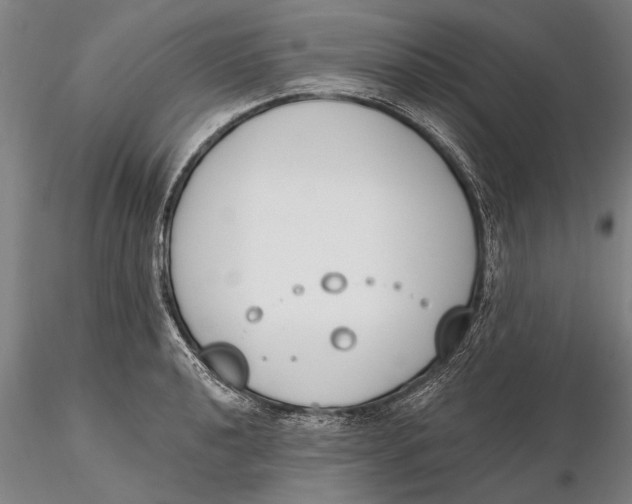 X0000116151040200912141152