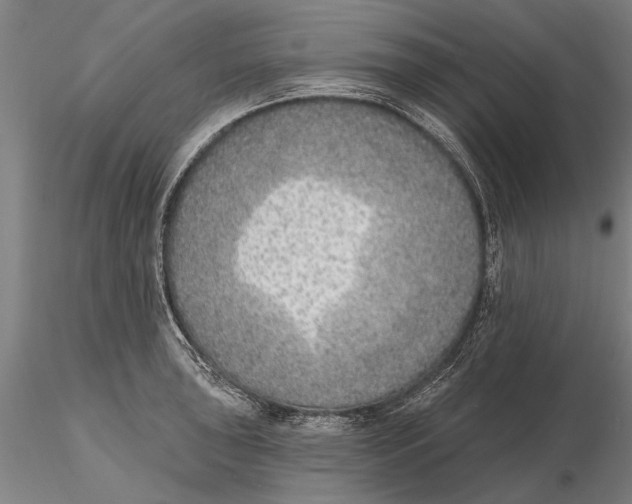 X0000116151043200912141152